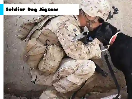 Logħba Soldier Dog Jigsaw onlajn