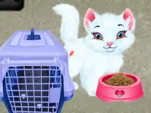 Logħba Baby Taylor Pet Care onlajn