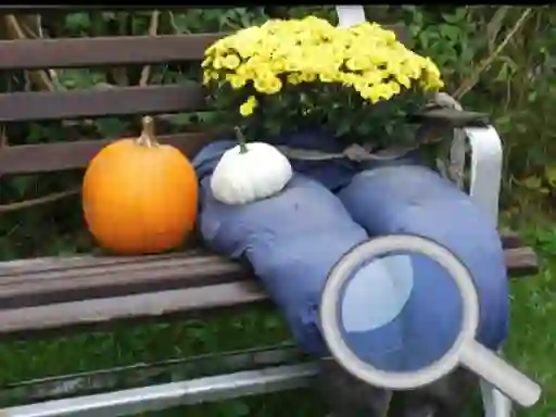 Logħba Autumn Garden Find 100 butterflies onlajn