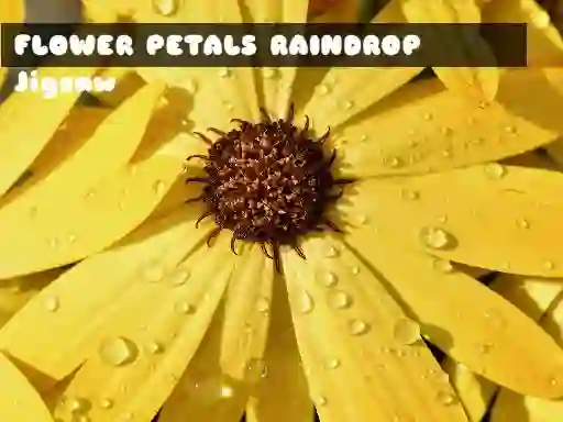 Logħba Flower Petals Raindrop Jigsaw onlajn