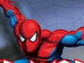 Logħba Spider Warrior onlajn