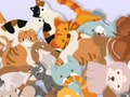 Logħba Sib il-Kitty  onlajn