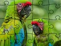 Logħba Jigsaw puzzle tropy forest onlajn