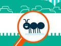 Logħba Bug Squashy  onlajn