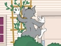 Logħba Tom und Jerry: Wasserbomben Wahnsinn onlajn