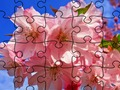 Logħba Jigsaw Puzzle: Fjuri  onlajn