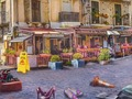 Logħba Divina tas-Sajf  onlajn