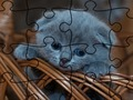 Logħba Jigsaw Puzzle: Qtates  onlajn