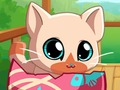 Logħba Pocket Pets Kitty Cat tiegħi  onlajn