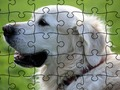 Logħba Jigsaw Puzzle Annimali Domestikati  onlajn