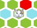 Logħba Nassa Il-Kat  onlajn