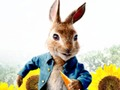 Logħba Peter Rabbit: Trouble in the Maze  onlajn
