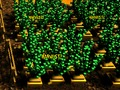 Logħba Pixel Farm onlajn