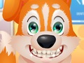 Logħba Dentist ħelu tal-Puppy  onlajn