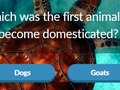 Logħba Trivia tal-Annimali  onlajn