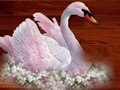 Logħba Puzzle Għasafar Imħabba  onlajn
