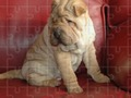 Logħba Jigsaw Puzzles Classic onlajn