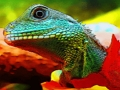Logħba Jigsaw Dragon Ċiniż għall-Ilma  onlajn