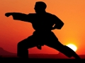Logħba Ġellieda ta 'Sunset Karate  onlajn