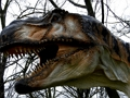 Logħba Jigsaw Dinosawru T-Rex onlajn