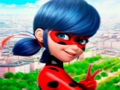 Logħba Ġbir ta 'Jigsaw Puzzle LadyBug  onlajn
