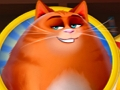 Logħba Kitty Scramble onlajn