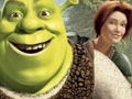 Logħba Ġbir ta 'Puzzle Jigsaw Shrek  onlajn