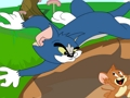 Logħba Tom U Jerry Fil-Koperazzjoni  onlajn