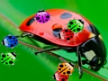 Logħba LADYBUG Match3 onlajn