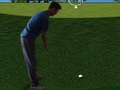 Logħba Flash Golf 3D  onlajn
