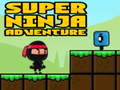 Logħba Super Adventure Ninja onlajn
