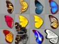Logħba Butterfly Kyodai onlajn