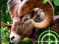 Logħba Crazy Goat Hunter 2020 onlajn