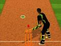 Logħba Sfida batter Cricket  onlajn