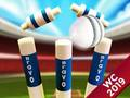 Logħba Mini Cricket: Ground Championship World Cup 2019 onlajn