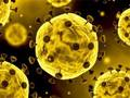 Logħba Slajd tal-koronavirus  onlajn