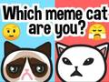 Logħba Liema Cat Meme Int?  onlajn