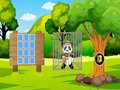Logħba Salva l-Panda Explorer  onlajn