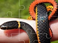 Logħba Sriep Puzzle  onlajn