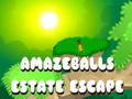 Logħba Amazeballs Estate Escape onlajn