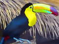 Logħba Tukan Bird Jigsaw  onlajn