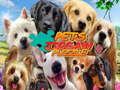 Logħba Annimali domestiċi jigsaw puzzle onlajn