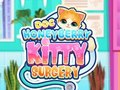 Logħba Dok HoneyBerry Kitty Surgery  onlajn