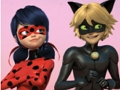 Logħba Ladybug mirakuluż & cat noir jigsaw puzzle onlajn