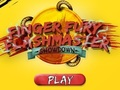 Logħba Flashmaster Fury Fury onlajn