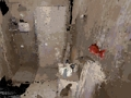 Logħba Okkupat  onlajn