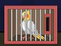 Logħba Ħruġ L-Għasfur Cockatiel  onlajn