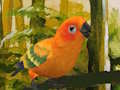 Logħba Puzzle Ħelu Budgie  onlajn