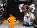 Logħba Monkey Go Happy Stage 365 onlajn