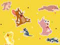Logħba The Tom and Jerry Show Sibha!  onlajn